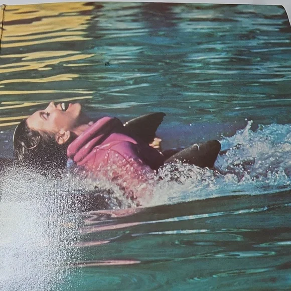 Vinyl Record - Physical - Red Cover - Picture 4 of 8